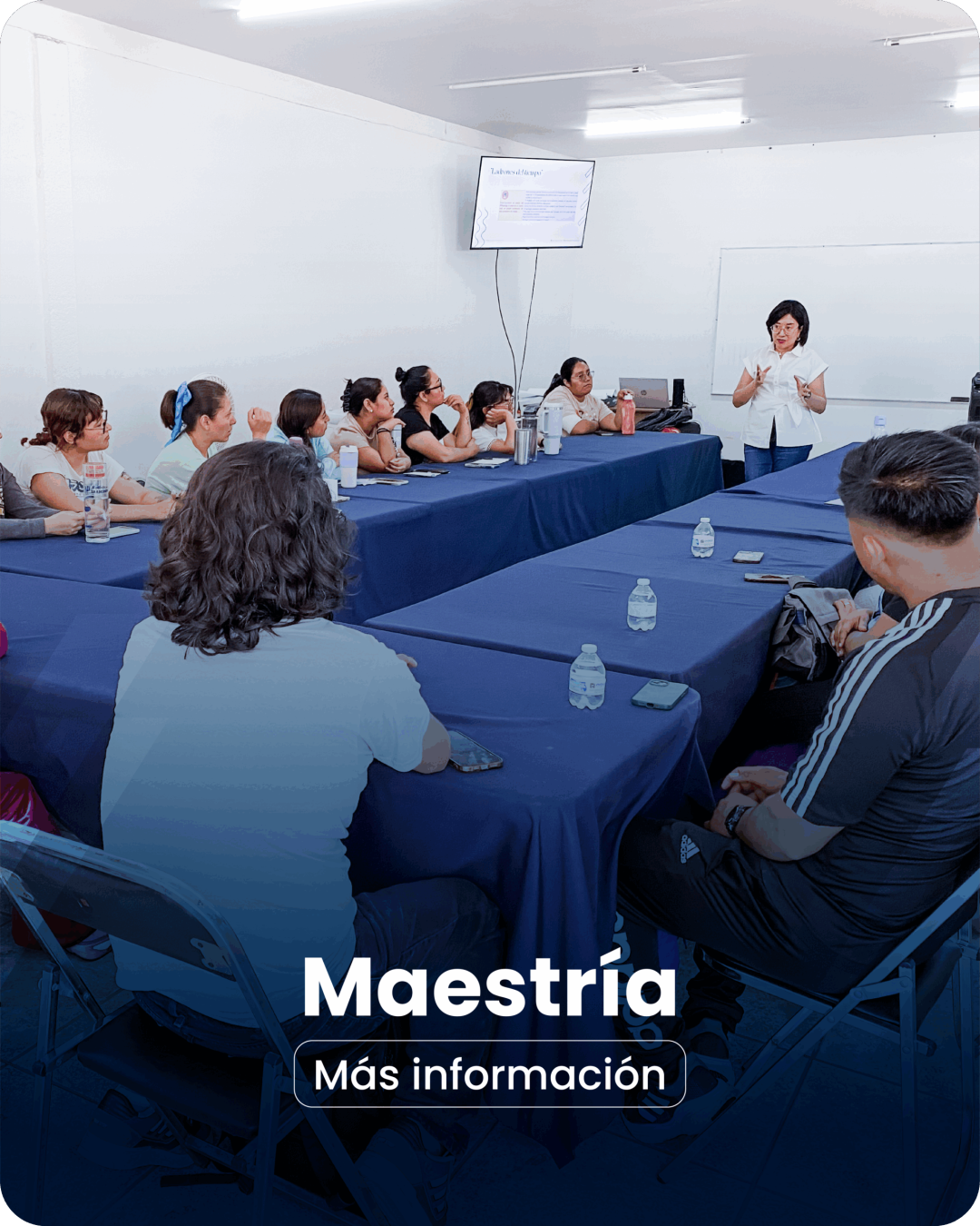 Pagina programas-02
